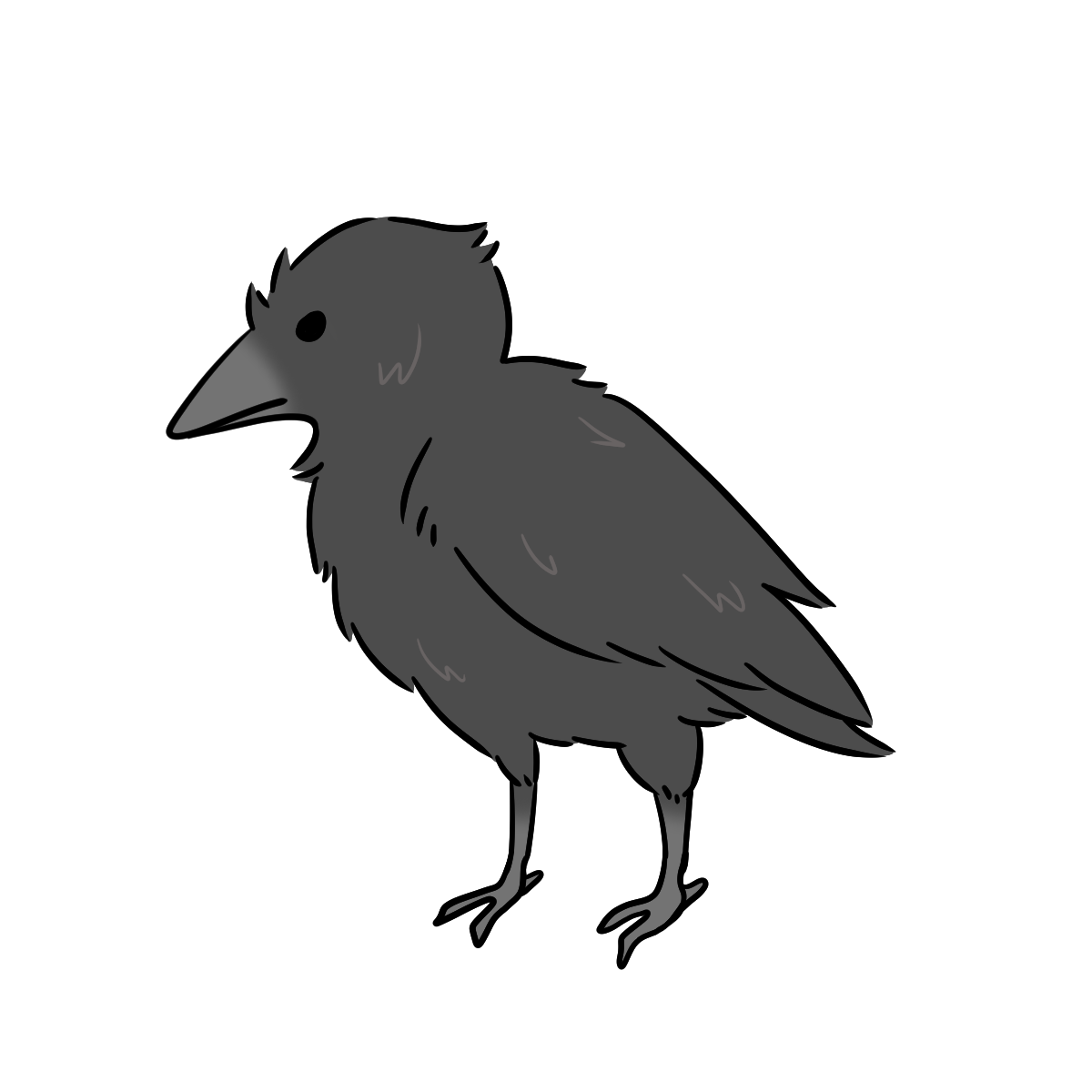 Crow