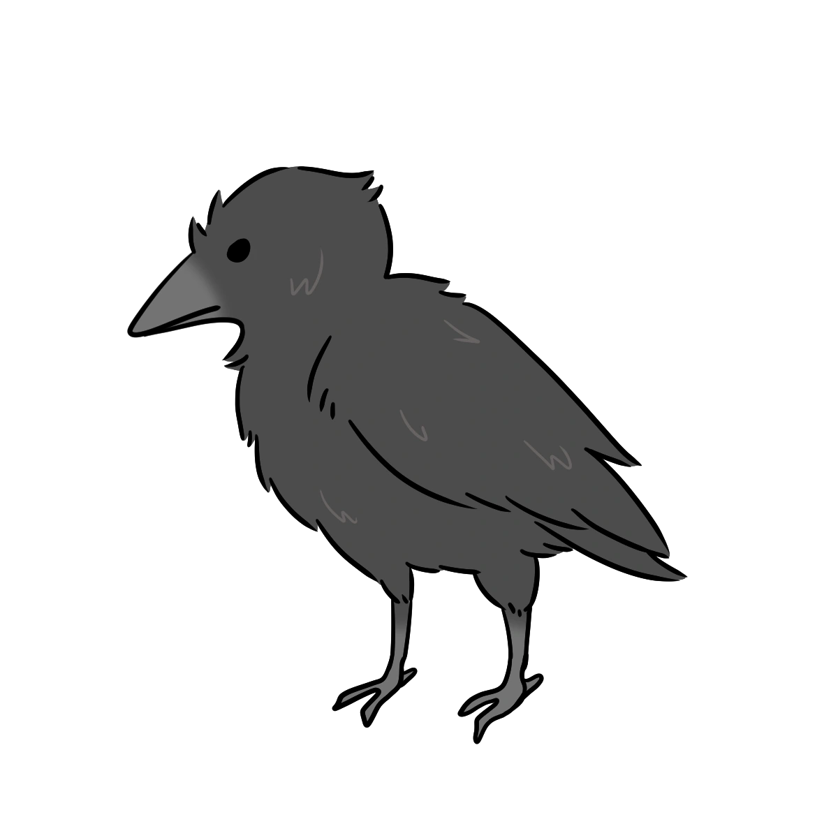 Crow