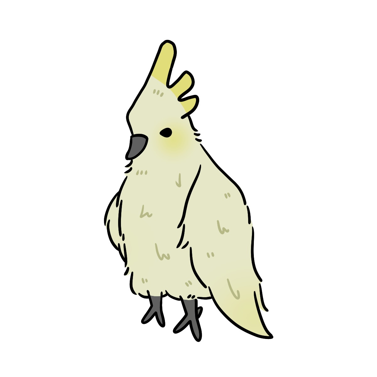 Parrot