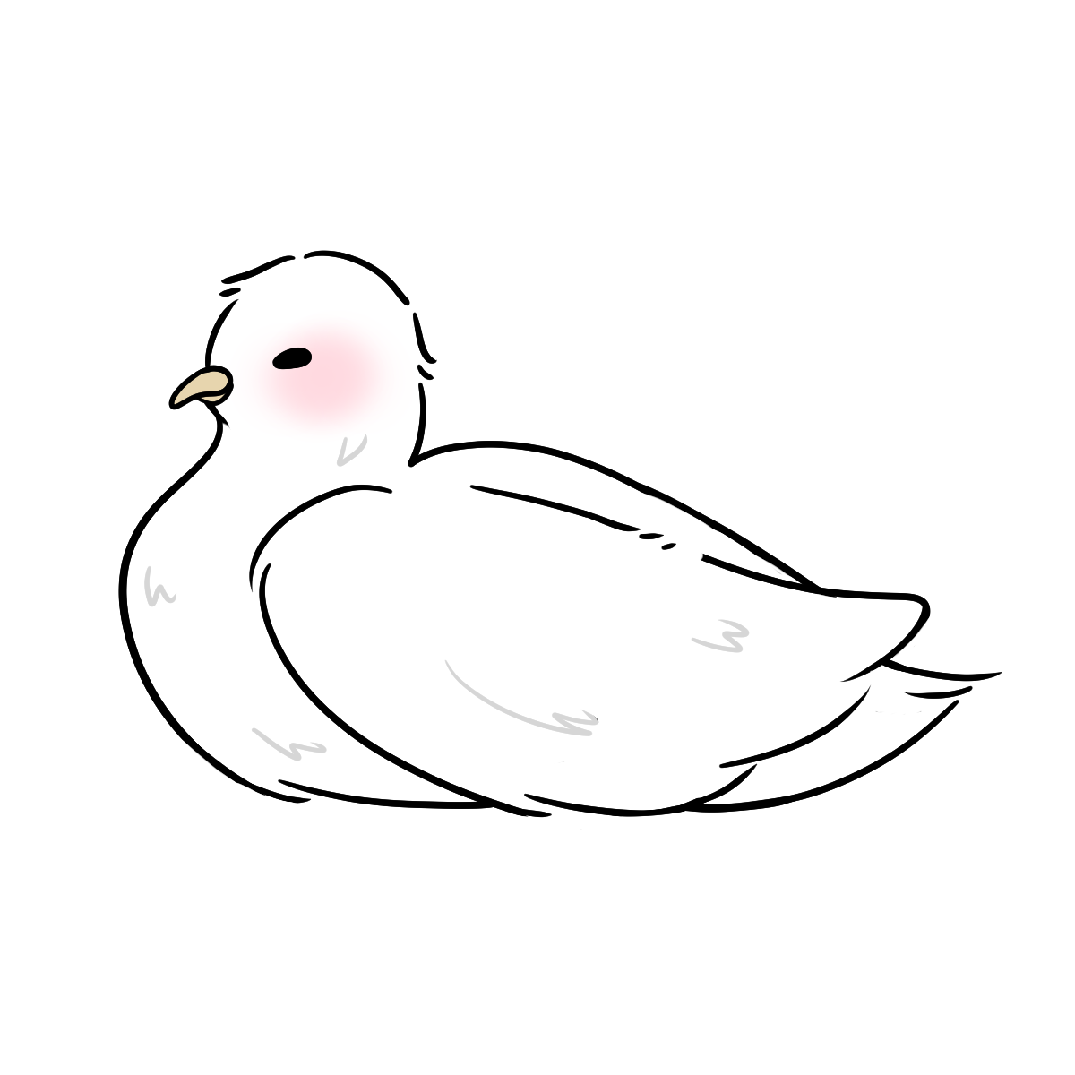 Pigeon
