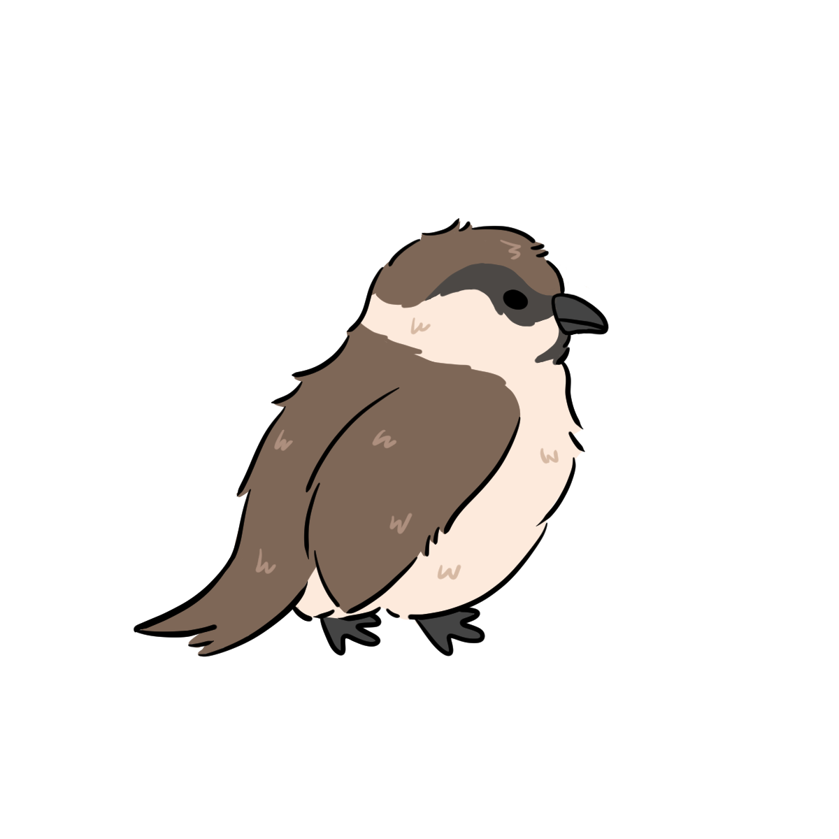 Sparrow