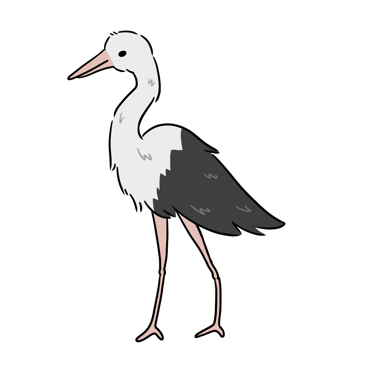 Stork