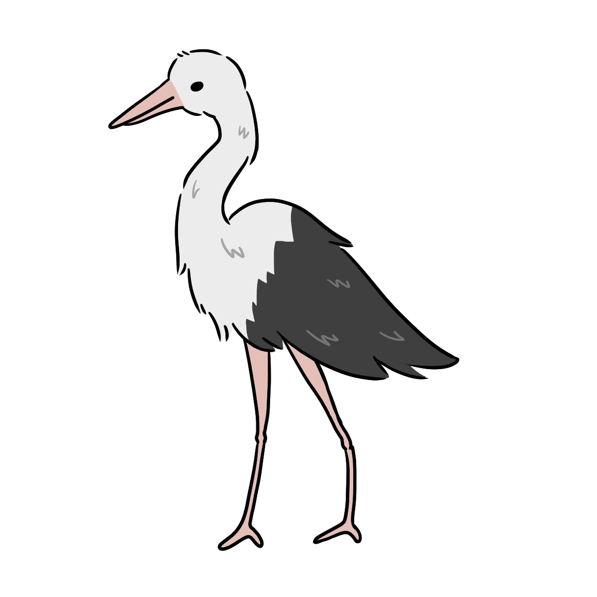 Stork
