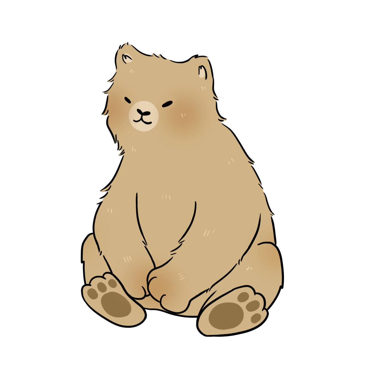 Brown Bear