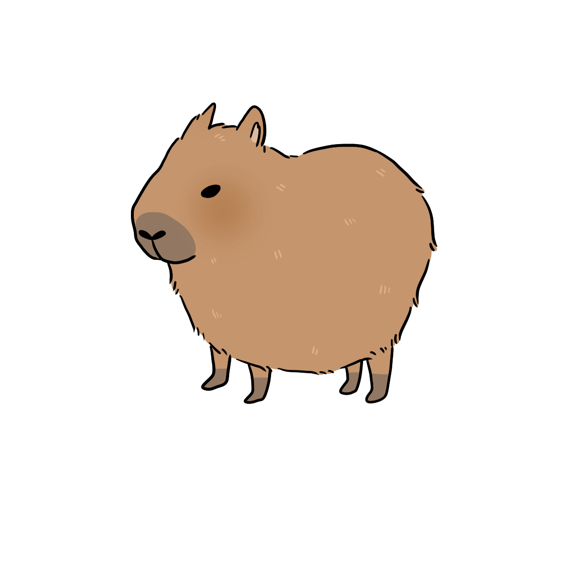 Capybara