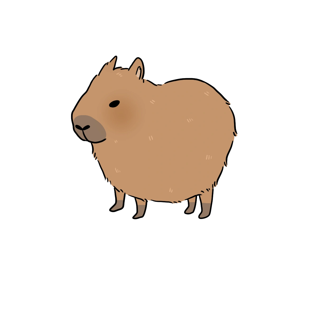 Capybara