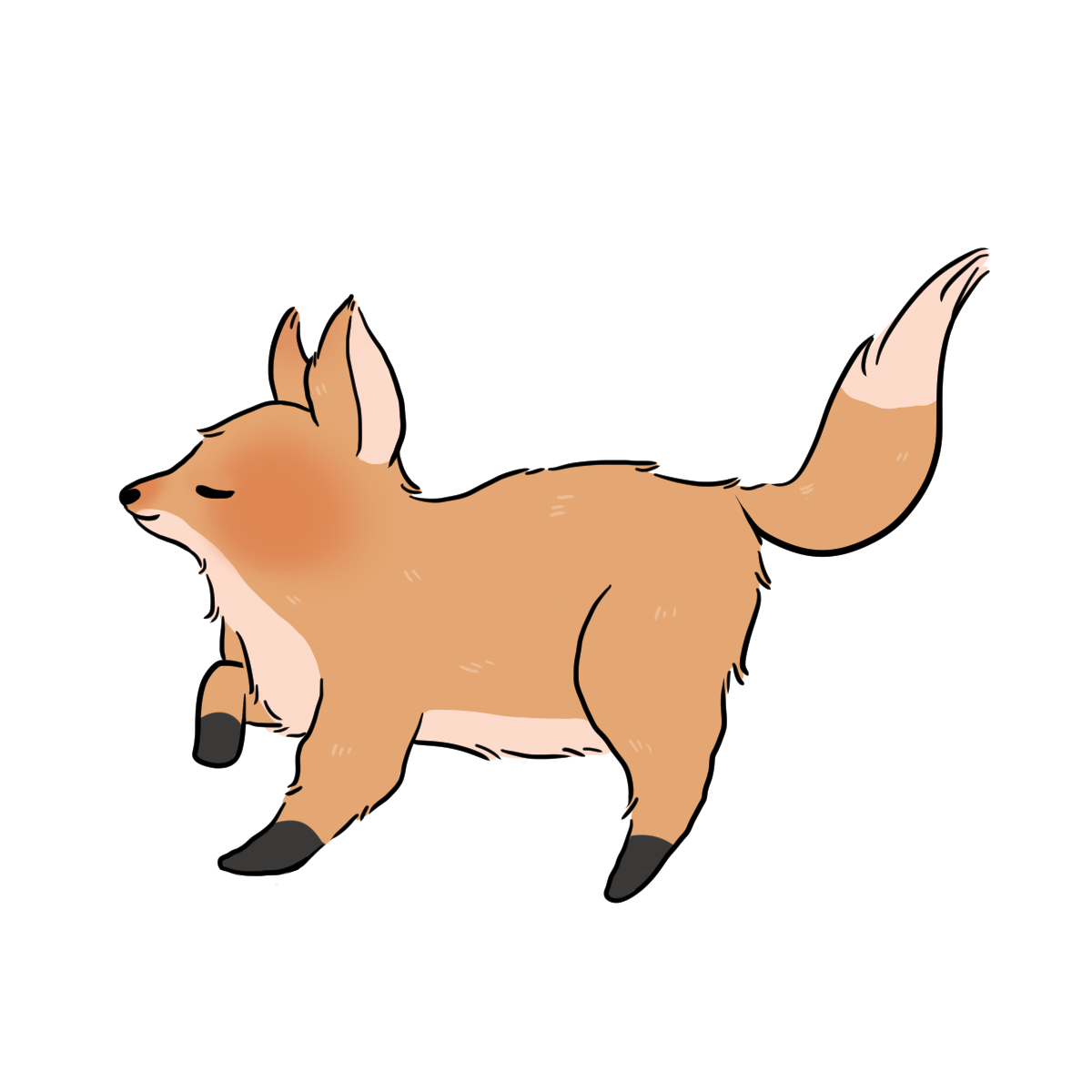 Fox