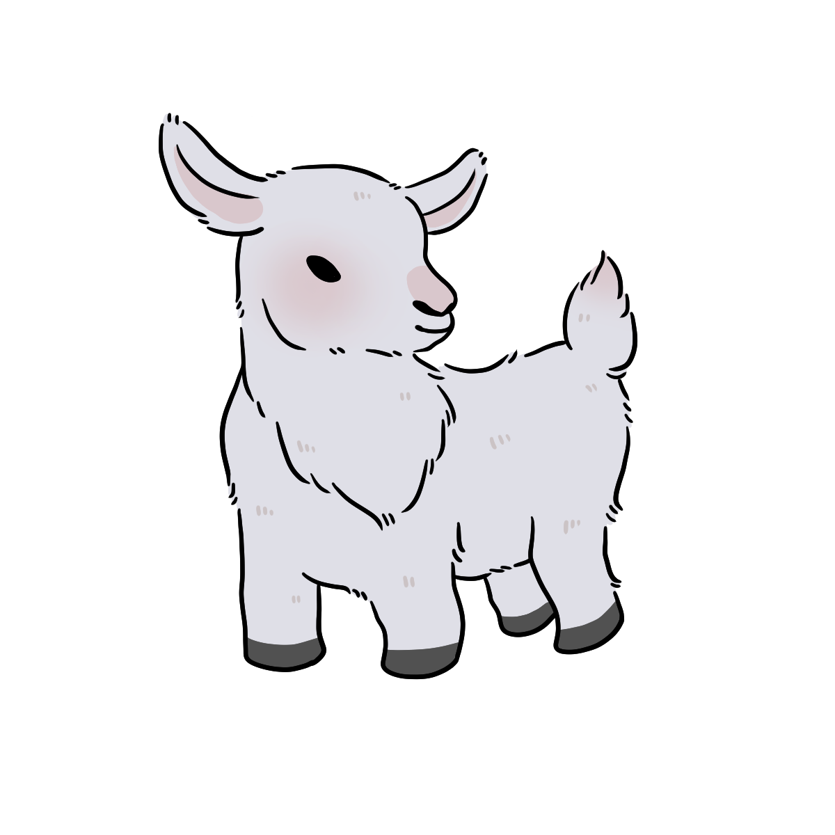 Goat