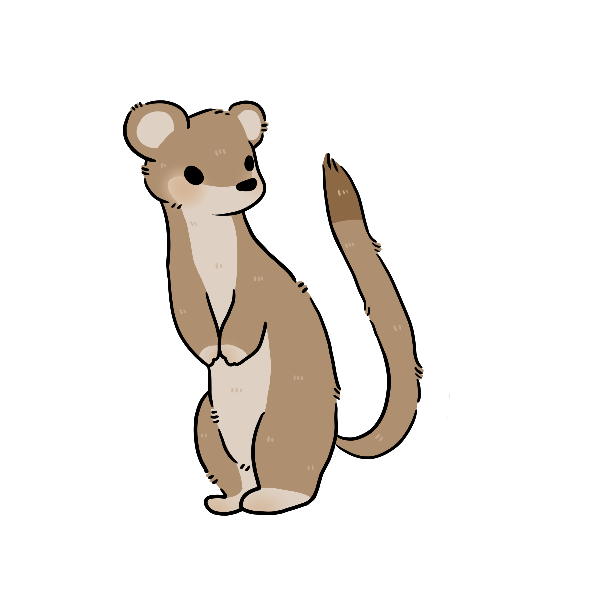 Weasel