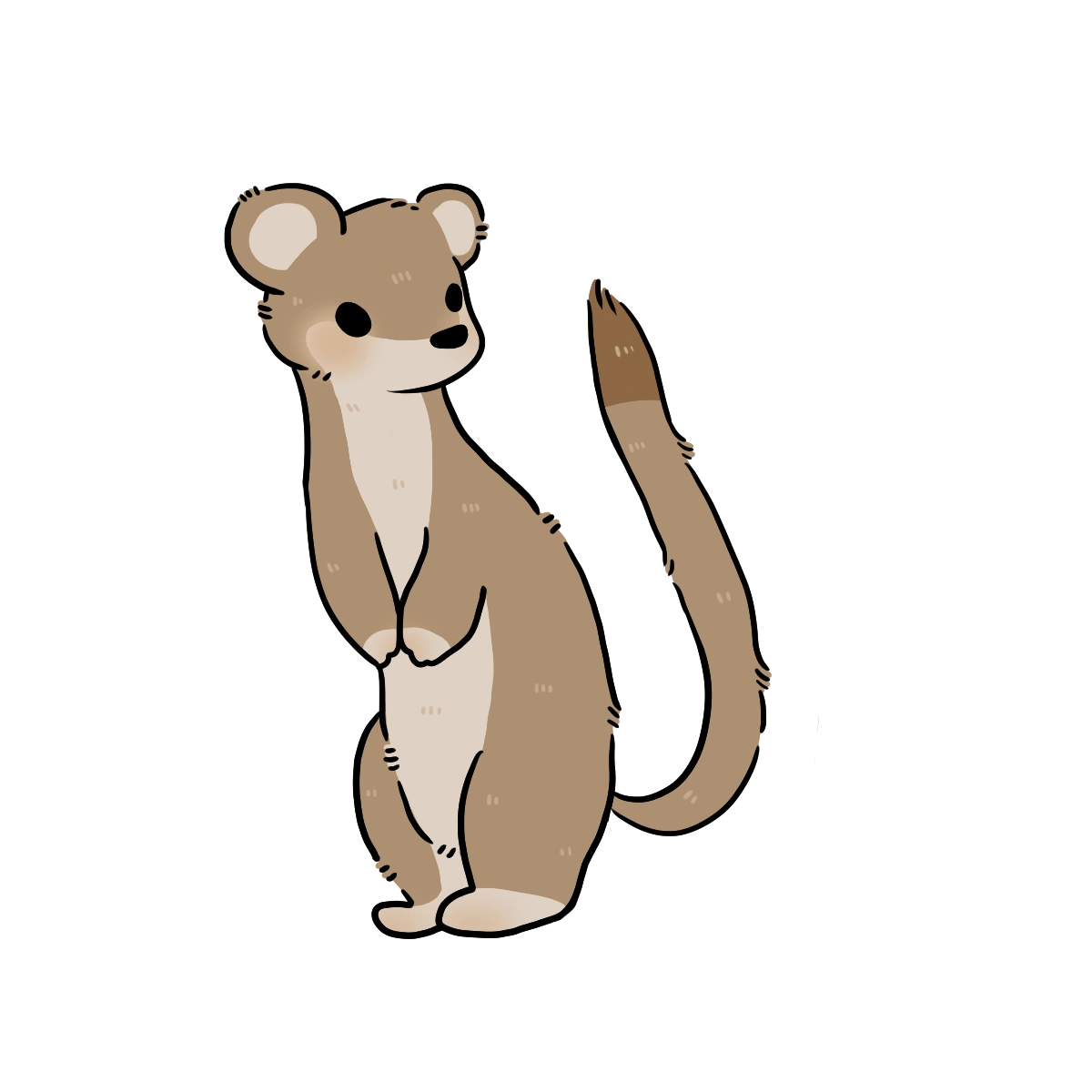 Weasel