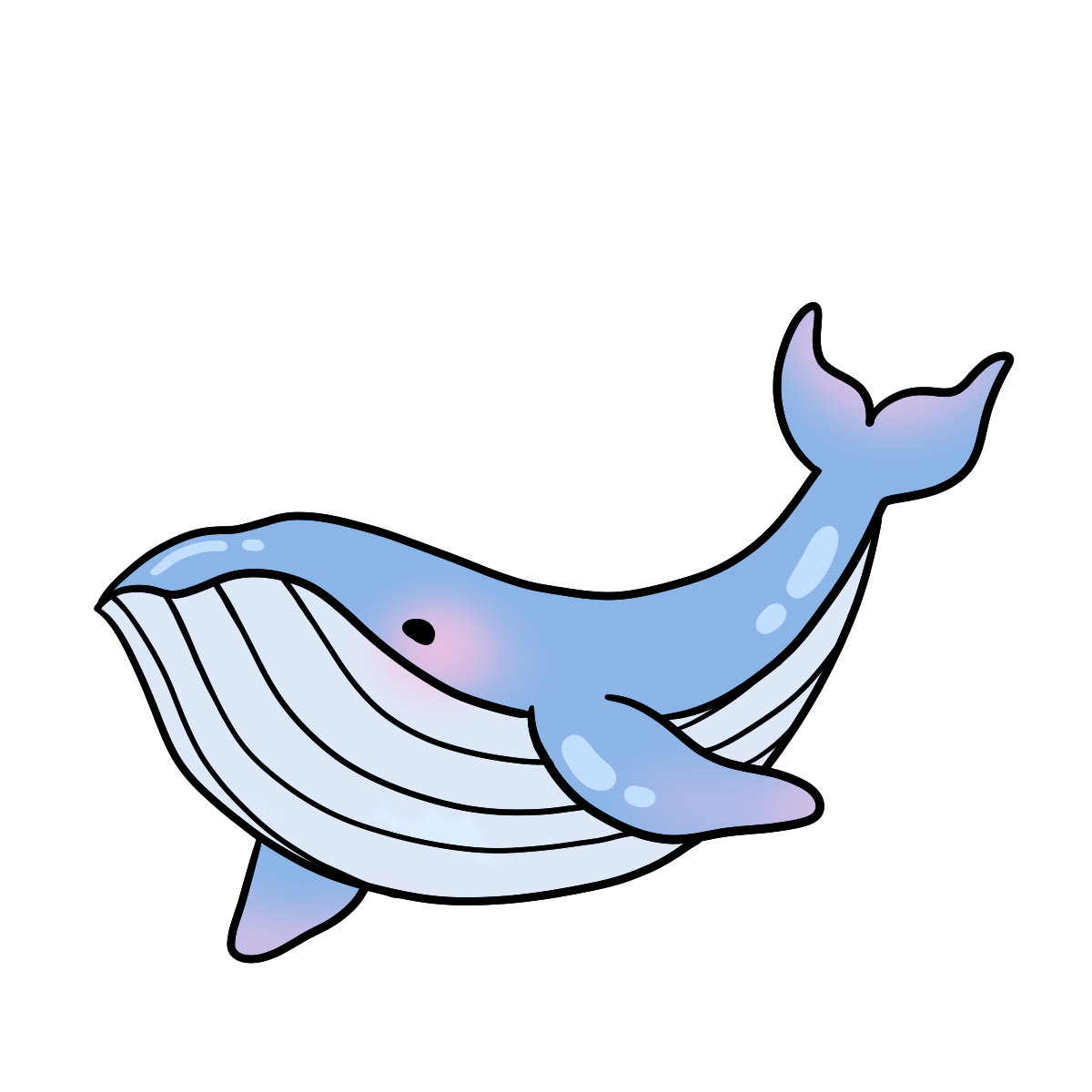 Blue Whale