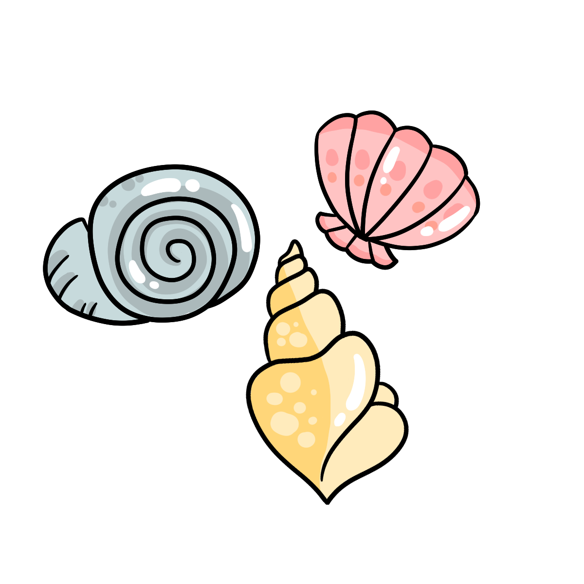 Clam
