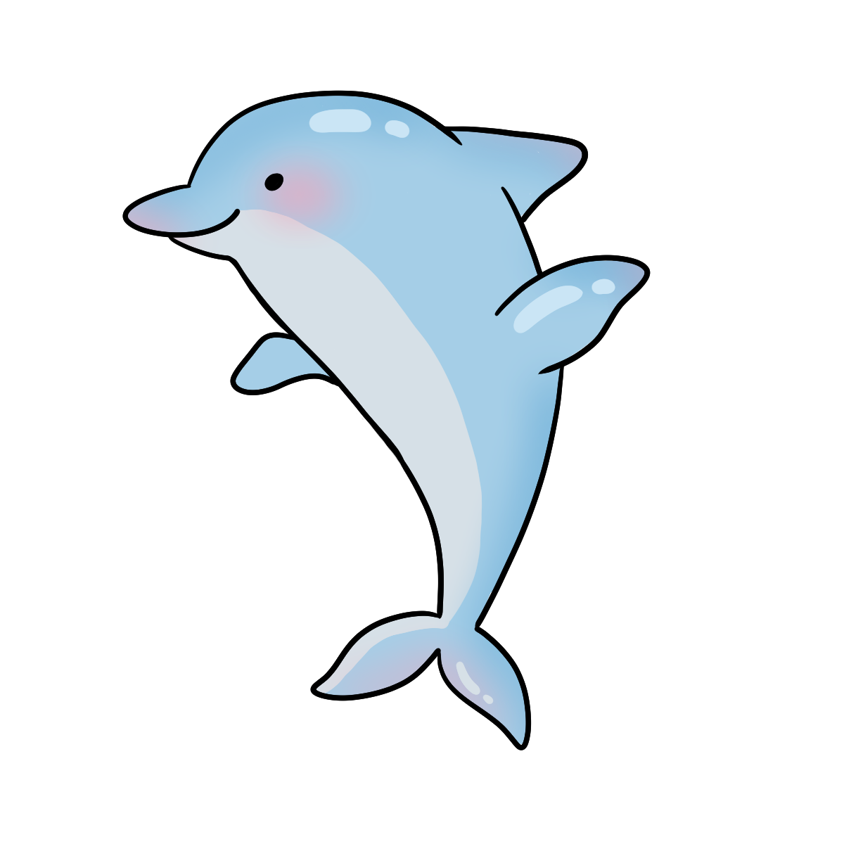 Dolphin