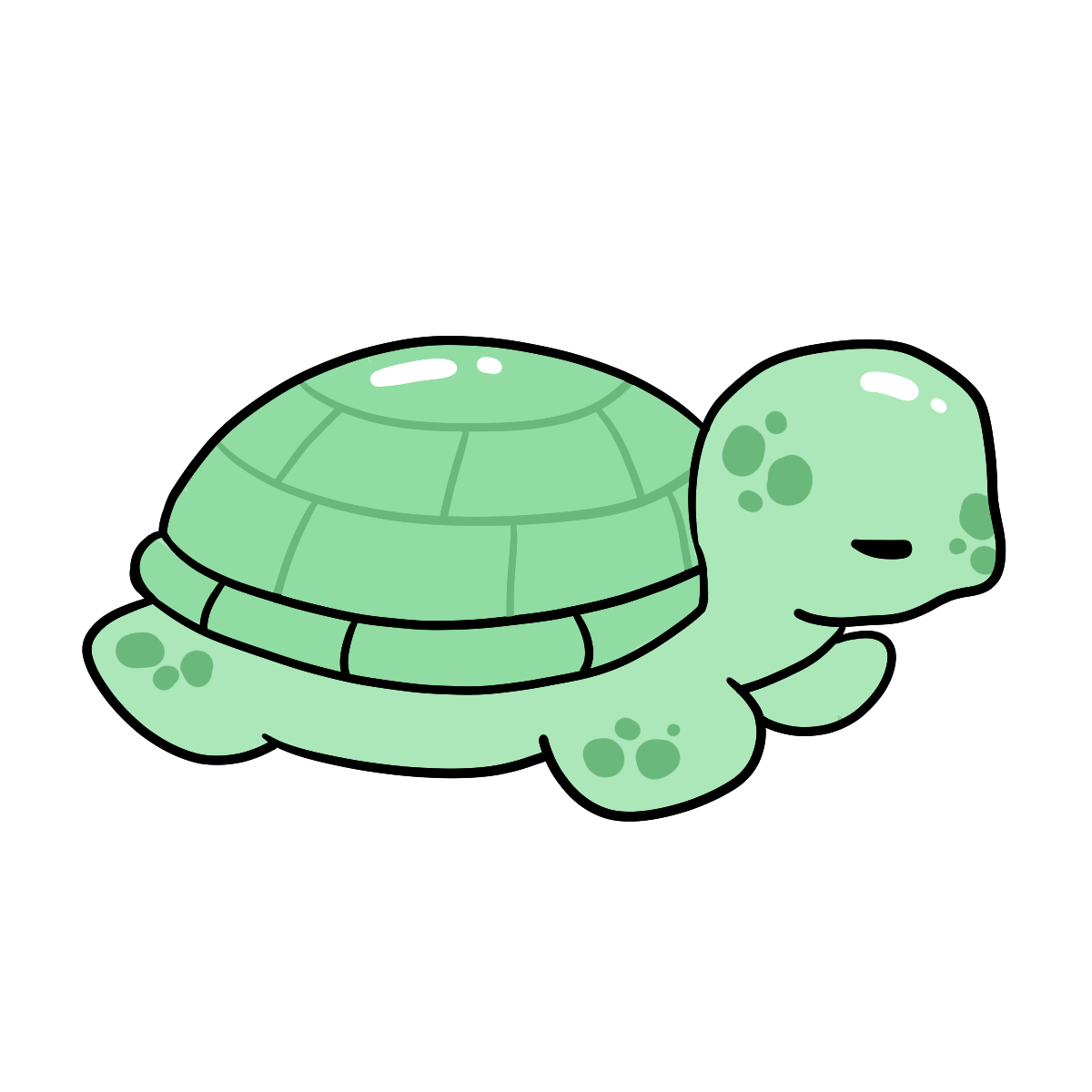 Sea Turtle