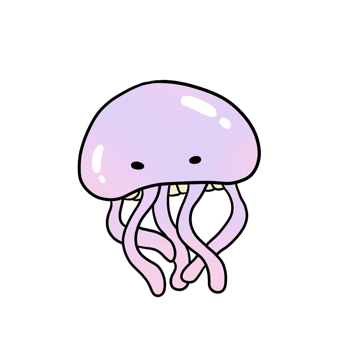 Jellyfish