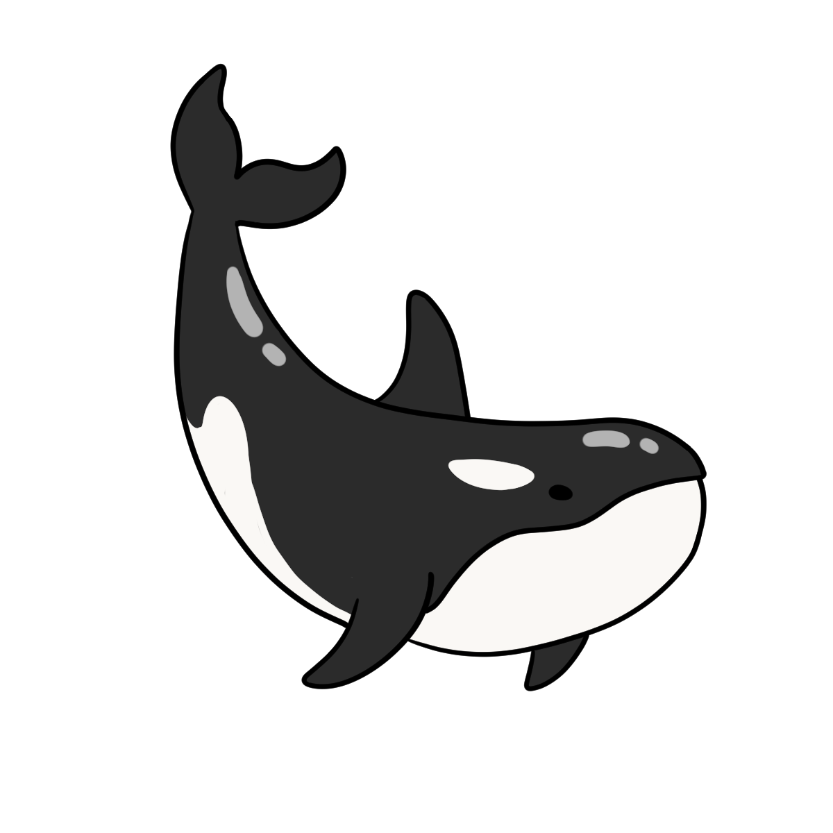 Orca