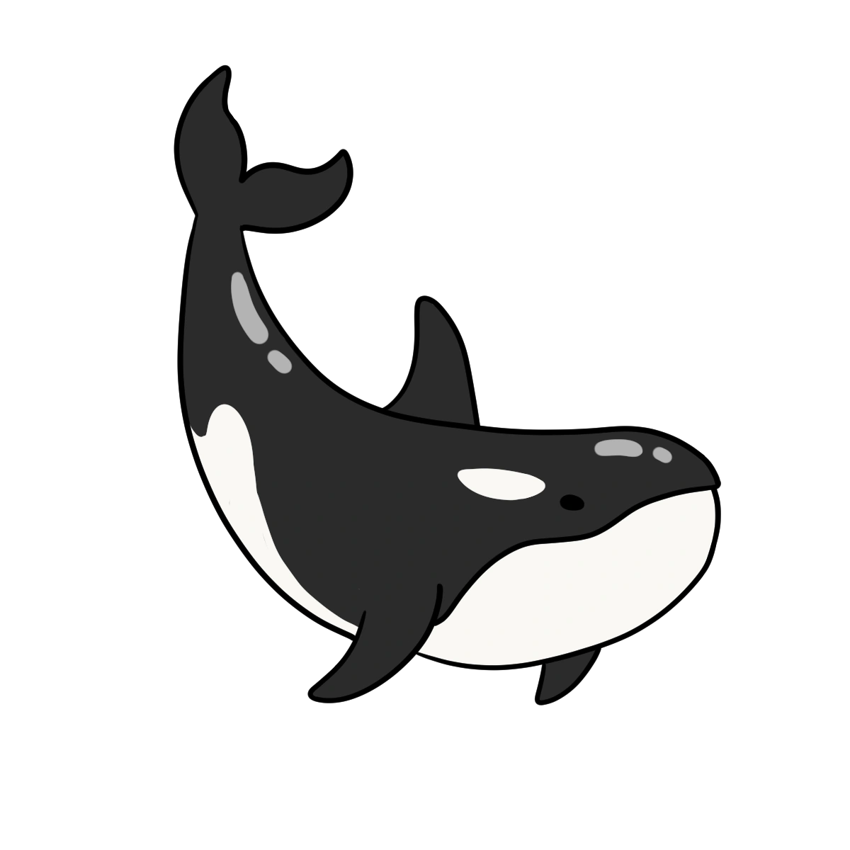 Orca