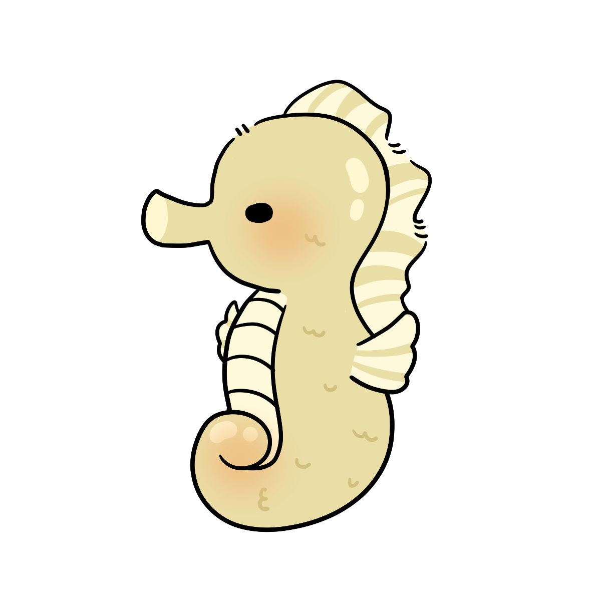 Seahorse