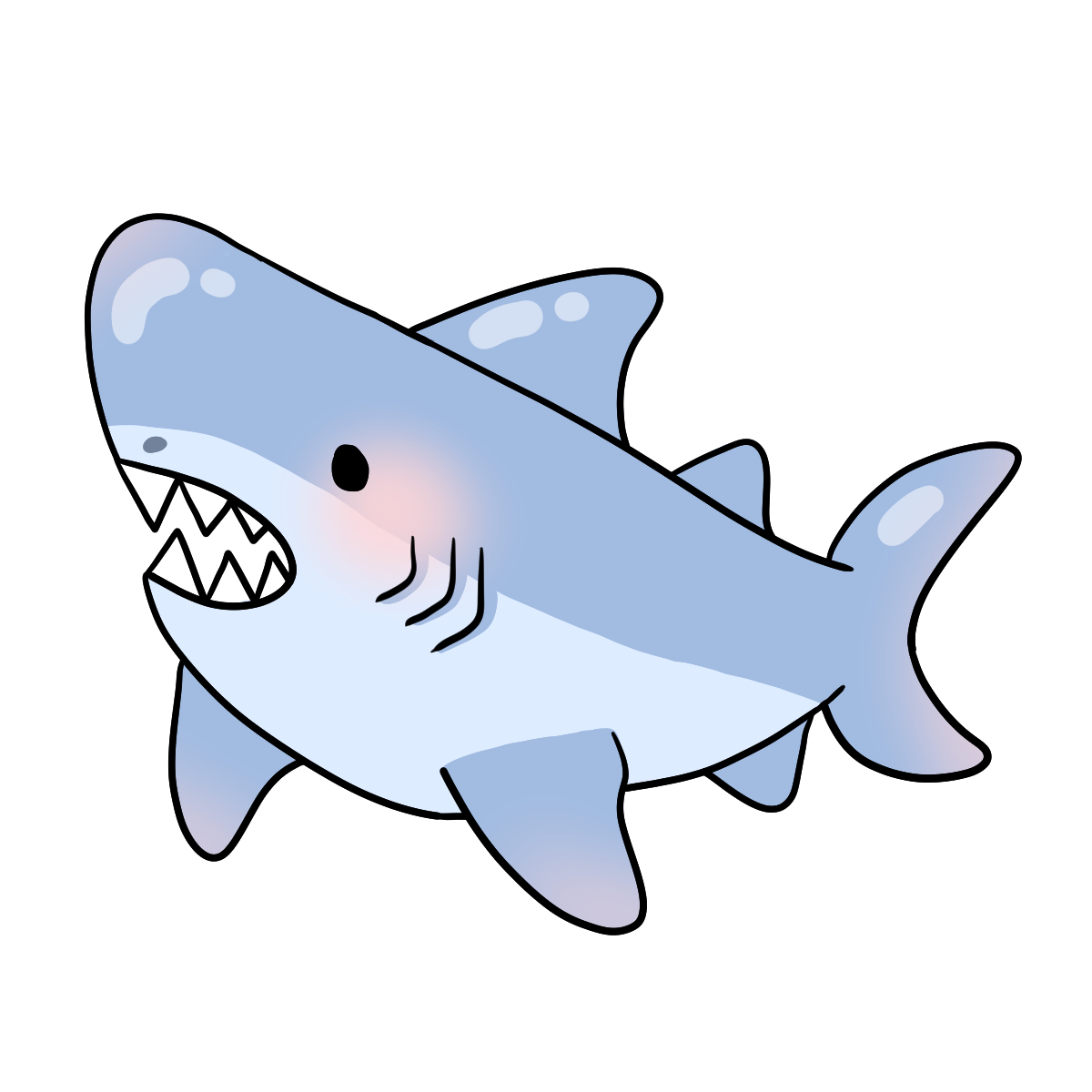 Shark