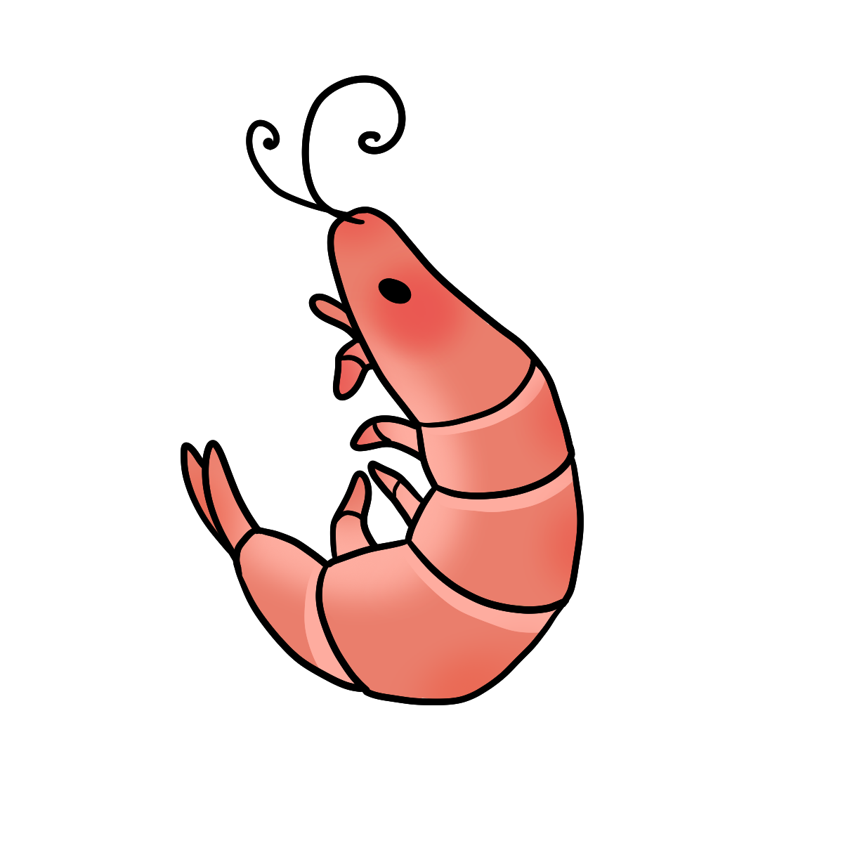 Shrimp
